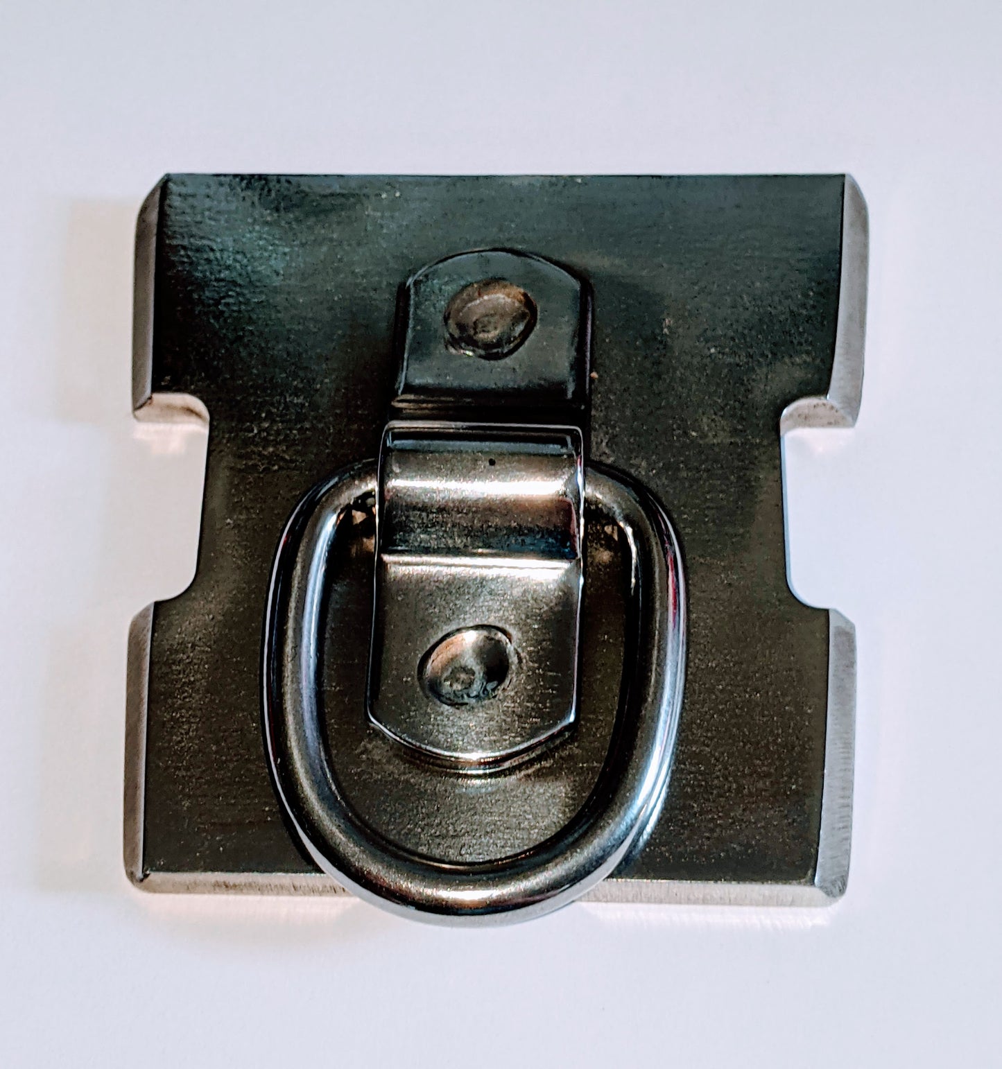 JEWLS D-Ring Garelick Plate